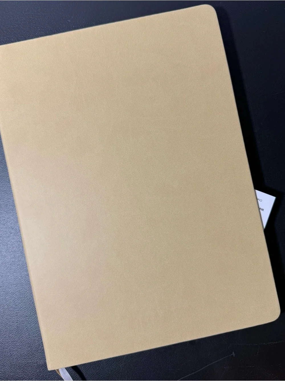 Planner Max 12-Month Weekly Planner - Cream New